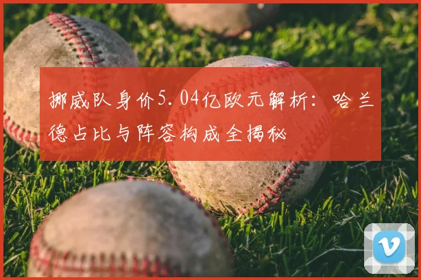 挪威队身价5.04亿欧元解析：哈兰德占比与阵容构成全揭秘