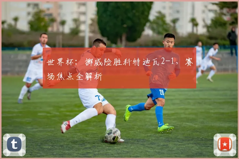 世界杯：挪威险胜科特迪瓦2-1，赛场焦点全解析
